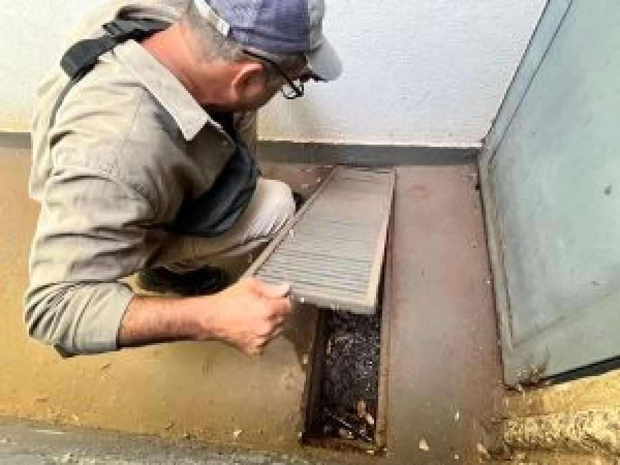 MS entra em projeto nacional e deve receber vacina contra chikungunya com foco em Dourados