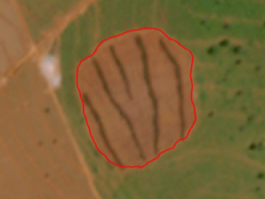 Desmatamento ilegal no Cerrado leva MPMS a investigar área em Cassilândia; multas já passam de R$ 100 mil