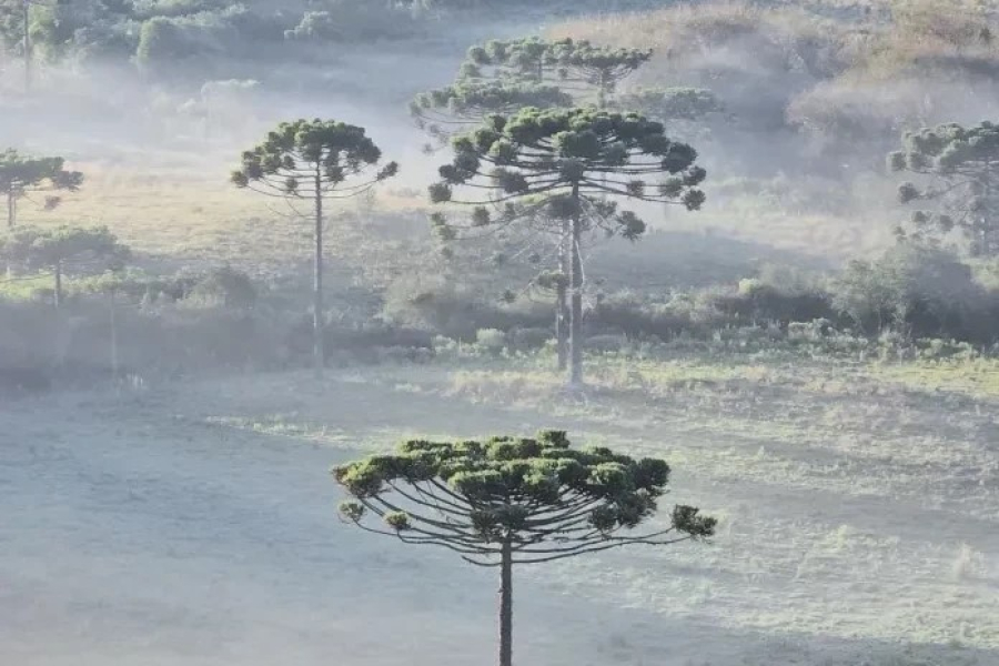Serra Catarinense amanhece com frio abaixo de zero nesta terça