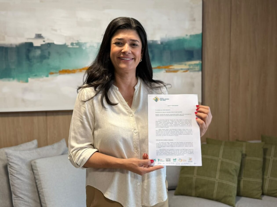 Atropelamentos de animais preocupam em MS e entram no debate eleitoral