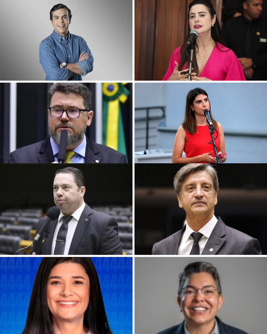 MS elege oito deputados federais e faz história com quatro mulheres na bancada
